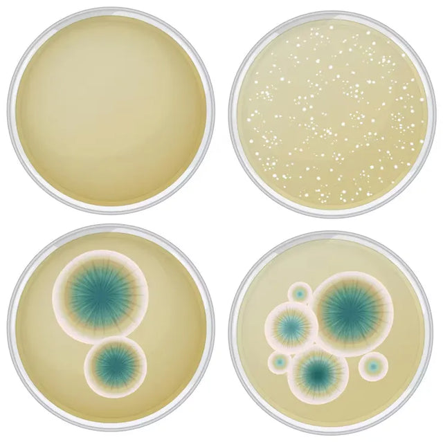 Agar Plates & Dip Slides