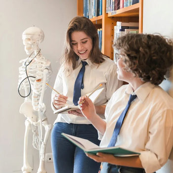 Anatomical Models & Teaching Aids