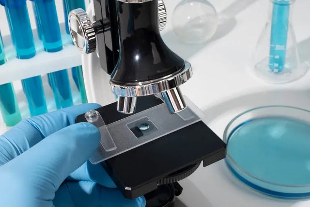 Microscope Slides Haemocytometers