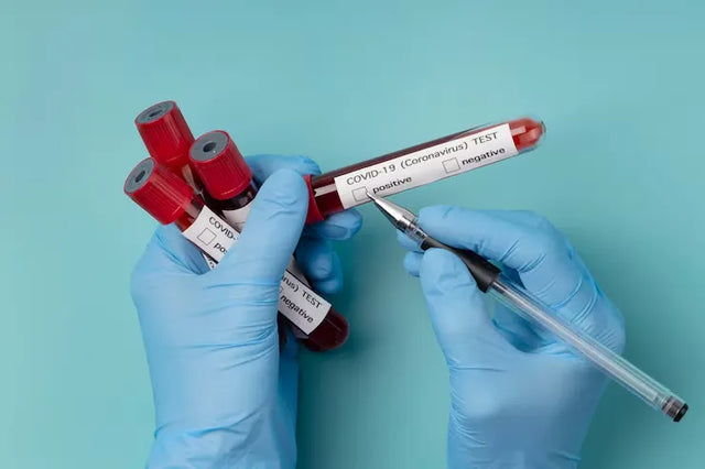Transfusion Sets & Blood Bags