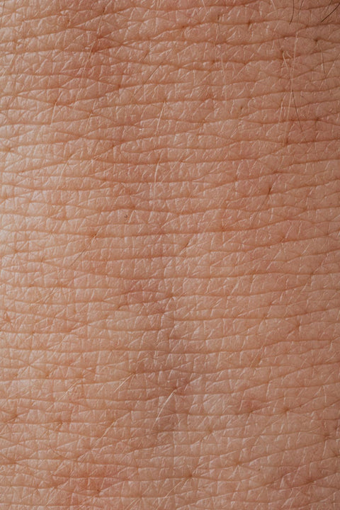 Day & Night Repair Creams
