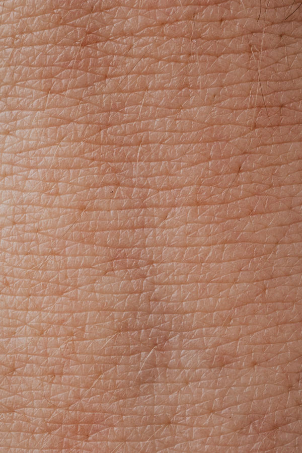 Day & Night Repair Creams