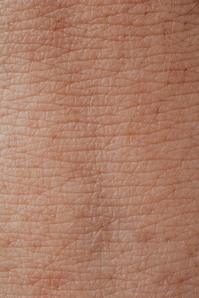 Day & Night Repair Creams