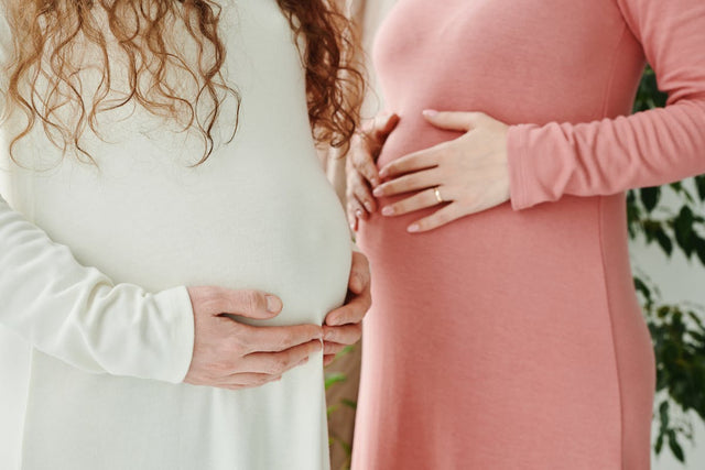 Maternity Support Belts