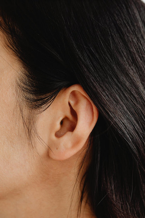Ear Specula & Accessories