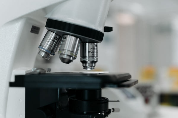 Microscope lens close-up