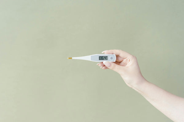 Hand holding digital thermometer