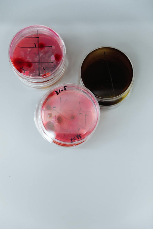 Agar Plates & Dip Slides