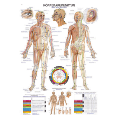 Teaching Chart "Body Acupuncture", 70x100cm