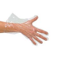 PE-Handschuhe, groß #531