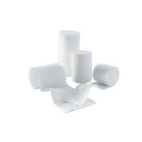 Leukostrip Nahtmaterial-Box Wundnahtstreifen 6 Streifen, 102x13mm