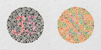Ishihara Farbtafeln 14 Tafeln