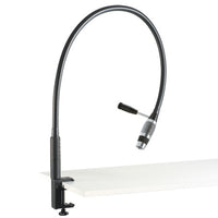 Riester ri-magic LED Detail