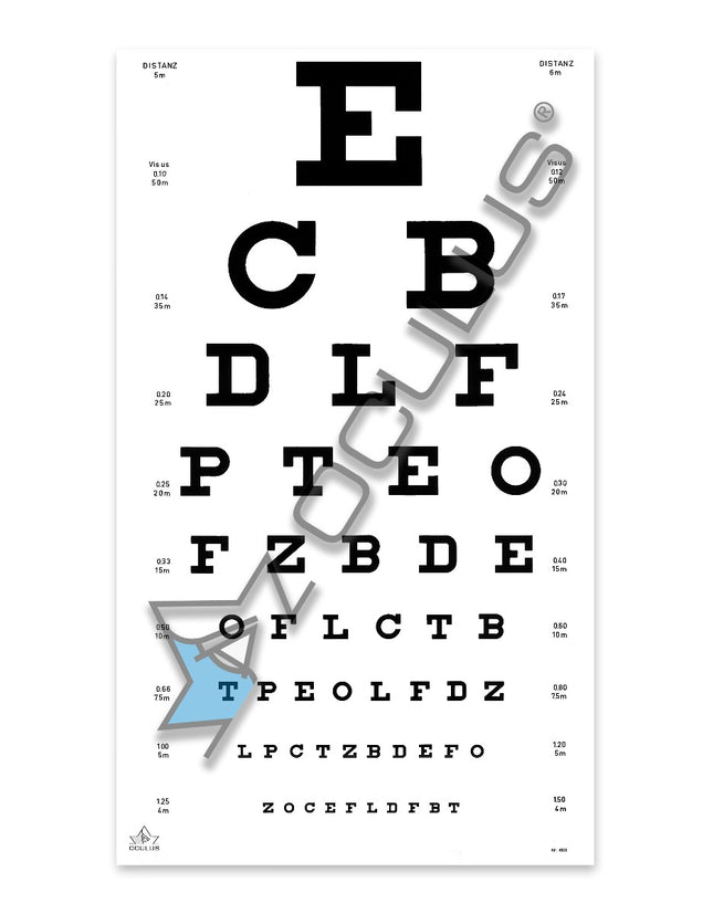 Oculus Sehprobentafel Kinderbild 4603