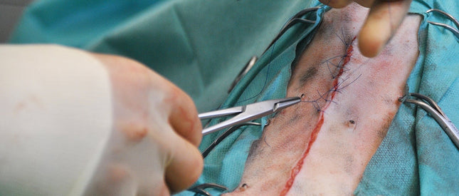Suture material Optilene, DS30, USP 2/0, thread length 75cm *Successor product to Premilene*